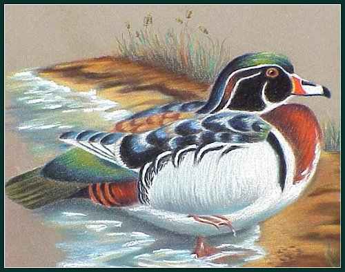 98dtdetail.jpg - 26267 Bytes