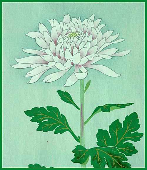 99arbdetail.jpg - 30148 Bytes