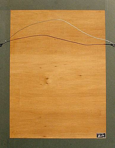A4BU-back.jpg - 22807 Bytes