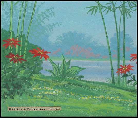 a2an-dtlttl.jpg - 28143 Bytes