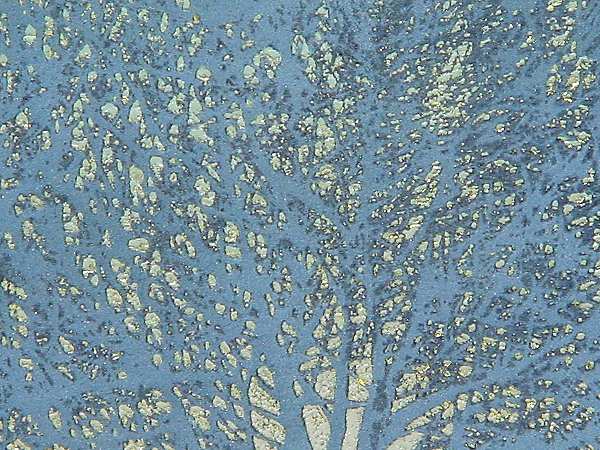 a4ao-detail.jpg - 71613 Bytes