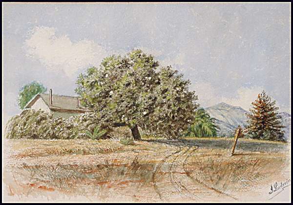 a4blLudovici.jpg - 44978 Bytes