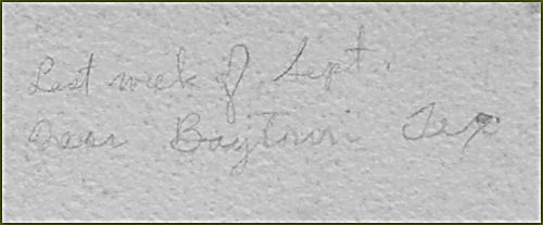 a5aiback.jpg - 17953 Bytes