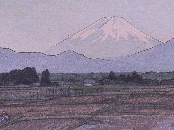ls21detail-fuji.jpg - 46140 Bytes